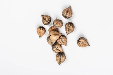 Olgun Juglans cordiforis Maxim ya da beyaz arka planda izole edilmiş kalp şeklinde ceviz. Genç yeşil ve soyulmamış fındıklar, düz yatış, model, şablon