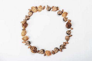 Juglans Cordiforis Maxim 'den çelenk ya da Çerçeve ya da beyaz arka planda izole edilmiş kalp şeklinde ceviz. Tam fındık, şeftali ve zeytin tohumları, düz uzanma, model, şablon