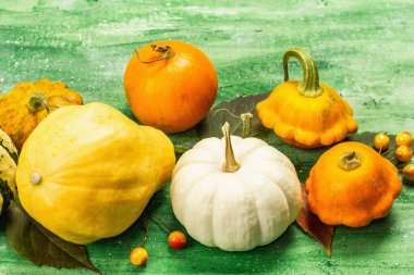 Çeşitli olgun balkabaklarından hasat et. Renkli bir arka plan, Şükran Günü ya da Cadılar Bayramı. Eski tahta arka plan, kapat