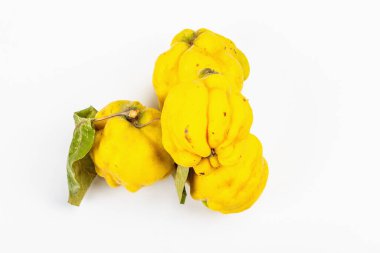 Beyaz arka planda izole edilmiş olgun bir ayva. Taze meyve, sağlıklı bir yiyecek için temel bir bileşen.