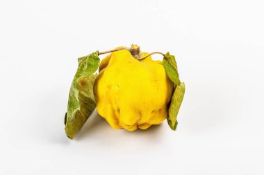 Beyaz arka planda izole edilmiş olgun bir ayva. Tek taze meyve, sağlıklı bir yiyecek için temel bir bileşen.