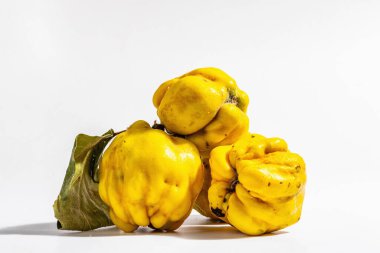 Beyaz arka planda izole edilmiş olgun bir ayva. Taze meyve, sağlıklı bir yiyecek için temel bir bileşen. Modaya uygun sert ışık, karanlık gölge