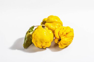 Beyaz arka planda izole edilmiş olgun bir ayva. Taze meyve, sağlıklı bir yiyecek için temel bir bileşen. Modaya uygun sert ışık, karanlık gölge