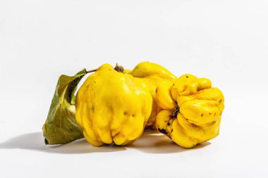 Beyaz arka planda izole edilmiş olgun bir ayva. Taze meyve, sağlıklı bir yiyecek için temel bir bileşen. Modaya uygun sert ışık, karanlık gölge