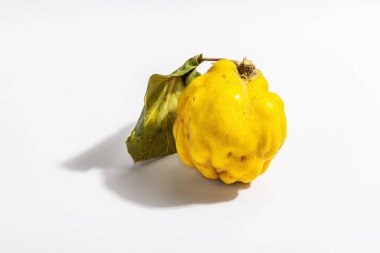 Beyaz arka planda izole edilmiş olgun bir ayva. Tek taze meyve, sağlıklı bir yiyecek için temel bir bileşen. Modaya uygun sert ışık, karanlık gölge