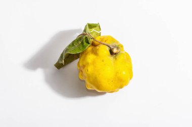 Beyaz arka planda izole edilmiş olgun bir ayva. Tek taze meyve, sağlıklı bir yiyecek için temel bir bileşen. Modaya uygun sert ışık, karanlık gölge