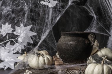 Cadılar Bayramı. Cadı tenceresi, balkabağı, yarasa, hayalet, örümcek ve örümcek ağlarıyla şenlikli bir kompozisyon. Hafif duman, siyah-beyaz tonlar, neşeli ruh