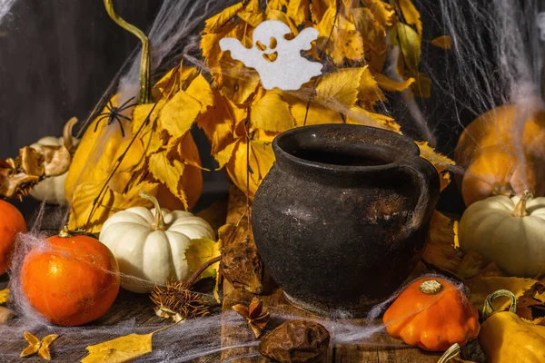 Halloween Achtergrond Pompoenen Spinnen Spinnenwebben Vleermuis Geest Feestelijke Symbolen Herfstbladeren — Stockfoto