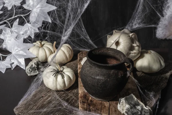 Composición Halloween Con Maceta Brujas Calabazas Murciélagos Fantasmas Arañas Telarañas — Foto de Stock
