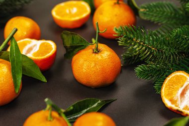 Mandallı (portakal, mandalina, mandalina, narenciye) ve köknar ağacı dallı. Siyah taş arka plan, şenlikli düz alan, yakın plan.