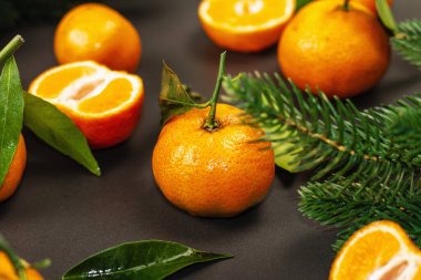 Mandallı (portakal, mandalina, mandalina, narenciye) ve köknar ağacı dallı. Siyah taş arka plan, şenlikli düz alan, yakın plan.