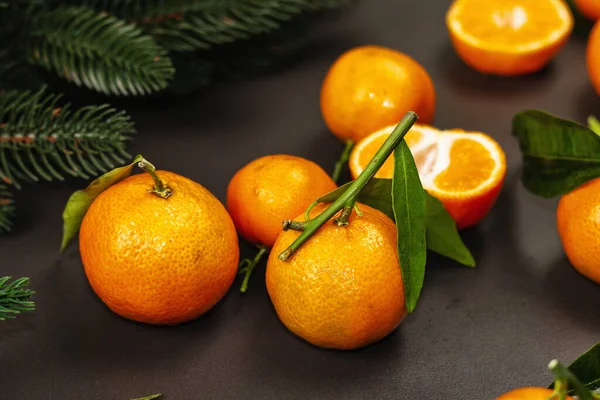 Tangerines Oranges Mandarins Clementines Citrus Fruits Leaves Fir Tree Branches — Stockfoto