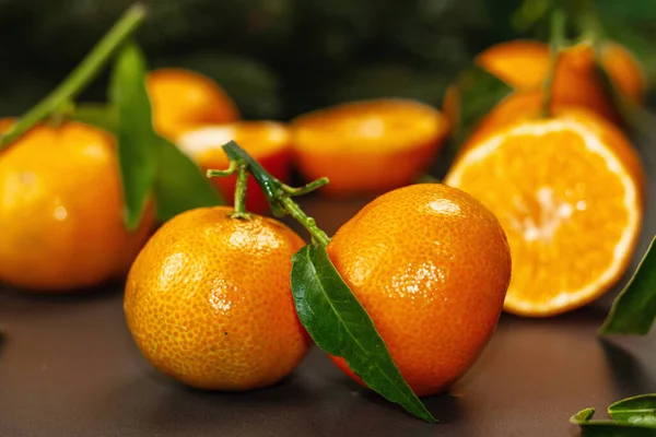Tangerines Oranges Mandarins Clementines Citrus Fruits Leaves Fir Tree Branches — Stock Photo, Image