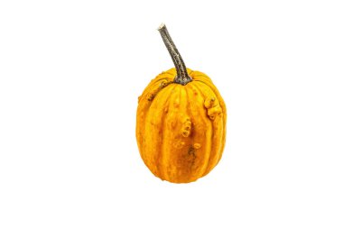 Beyaz arka planda izole edilmiş olgun turuncu balkabağı. Cadılar Bayramı ya da Şükran Günü için geleneksel dekoratif öğe.