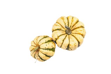 Beyaz arka planda izole edilmiş olgun yeşil balkabağı. Cadılar Bayramı ya da Şükran Günü için geleneksel dekoratif öğe.