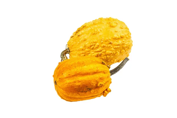 Mogna Orange Pumpor Isolerade Vit Bakgrund Hela Squash Traditionella Festliga — Stockfoto