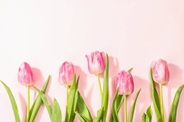 Taze çiçek kompozisyonu, bir buket pembe lale, gül arka planında izole edilmiş. Uluslararası Kadınlar, Sevgililer Günü, ya da Anneler Günü, Düğün karşılama konsepti, üst görünüm