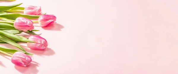新鲜的花的组成 一束粉红色的郁金香 隔离在玫瑰的背景上 国际妇女节 情人节 或母亲节 婚宴问候概念 横幅形式 — 图库照片