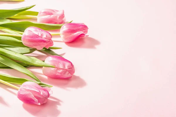 新鲜的花的组成 一束粉红色的郁金香 隔离在玫瑰的背景上 国际妇女节 情人节 或母亲节 婚宴概念 头版头条 — 图库照片