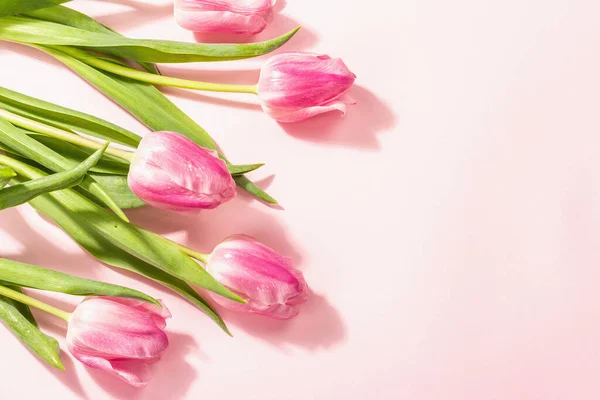 Frisk Blomstersammensætning Buket Lyserøde Tulipaner Isoleret Rosenbaggrund Internationale Kvinder Valentines - Stock-foto