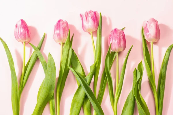 Taze çiçek kompozisyonu, bir buket pembe lale, gül arka planında izole edilmiş. Uluslararası Kadınlar, Sevgililer Günü, ya da Anneler Günü, Düğün karşılama konsepti, üst görünüm