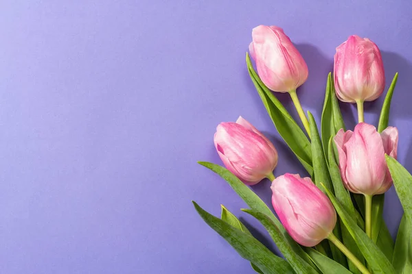 Свіжа Композиція Квітів Букет Рожевих Тюльпанів Ізольований Модному Дуже Пері — стокове фото