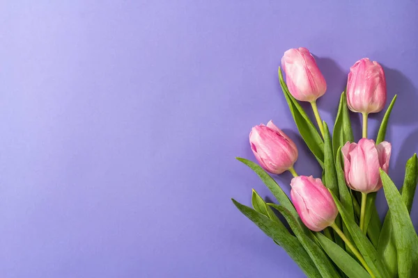 新鲜的花朵组成 一束粉红色的郁金香 在时尚的非常艳丽的色彩背景上被隔离 国际妇女节 情人节 或母亲节 婚宴概念 头版头条 — 图库照片