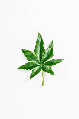Beyaz arka planda yapay kenevir yaprağı izole edilmiş. Moda bitki, model, şablon, düz yatak