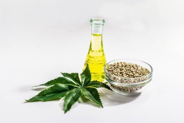 Olgun kenevir tohumu, yağ ve beyaz arka planda izole edilmiş yapay kenevir yaprağı. Modern süper yiyecek, ilaç ve güzellik malzemeleri, moda yaşam tarzı konsepti