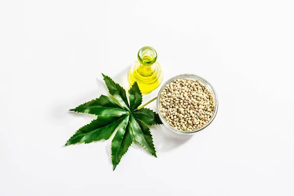 Ripe Hemp Seeds Oil Artificial Hemp Leaf Isolated White Background — Stock Photo, Image