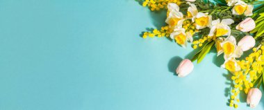 Mavi arka planda yalıtılmış bahar çiçekleri kompozisyonu. Mutlu Paskalyalar ya da Düğün Konsepti, Sevgililer Günü ya da Anneler Günü, afiş formatı, düzlük, üst görünüm