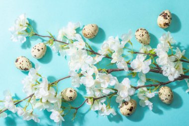 Mutlu Paskalya bayramı düzlükleri, çiçek açan kiraz ve yumurtalar. Bahar tatilinin geleneksel bir sembolü. Modaya uygun koyu renk gölge, narin mavi arkaplan, üst görünüm, kopyalama alanı, düz yatış