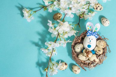 Mutlu Paskalya mavisi arka plan, çiçek açan kiraz, yuvada bıldırcın yumurtası ve sevimli tavşan. Bahar bayramı düzlüğü, geleneksel semboller, sert açık koyu gölge, üst manzara