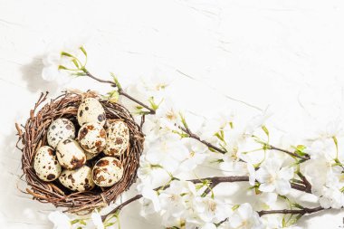 Yuvada kiraz ve bıldırcın yumurtası açan Paskalya arkaplanın kutlu olsun. Bahar bayramı düzlüğü, geleneksel semboller, sert açık koyu gölge, beyaz macun arka plan, üst görünüm