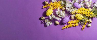 Çiçekli bahar kompozisyonu, mor arkaplanlı pastel yumurta. Sert ışık, karanlık gölge, mutlu Paskalya tebrik kartı konsepti, düz yatış, pankart