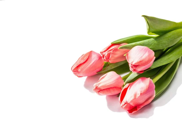 Frisk Blomstersammensætning Buket Lyserøde Tulipaner Isoleret Hvid Baggrund Hilsen Koncept - Stock-foto