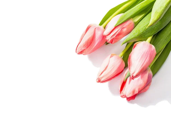 Свіжа Композиція Квітів Букет Рожевих Тюльпанів Ізольований Білому Тлі Вітання — стокове фото