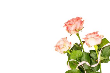 Beyaz arka planda izole edilmiş taze narin güller. Romantik hediye konsepti, pembe çiçekler. Anneler, Sevgililer Günü ya da Kadınlar Günü. Model, şablon, tebrik kartı, düz yatak, üst görünüm