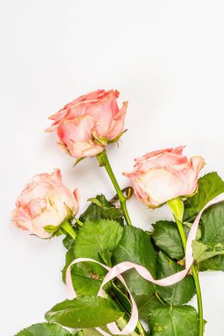 Beyaz arka planda izole edilmiş taze narin güller. Romantik hediye konsepti, pembe çiçekler. Anneler, Sevgililer Günü ya da Kadınlar Günü. Model, şablon, tebrik kartı, düz yatak, üst görünüm