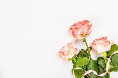 Beyaz arka planda izole edilmiş taze narin güller. Romantik hediye konsepti, pembe çiçekler. Anneler, Sevgililer Günü ya da Kadınlar Günü. Model, şablon, tebrik kartı, düz yatak, üst görünüm