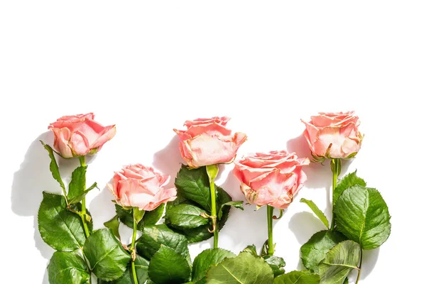 Ramo Delicadas Rosas Frescas Aisladas Sobre Fondo Blanco Concepto Regalo — Foto de Stock