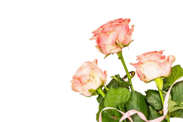 Ramo Delicadas Rosas Frescas Aisladas Sobre Fondo Blanco Concepto Regalo — Foto de Stock