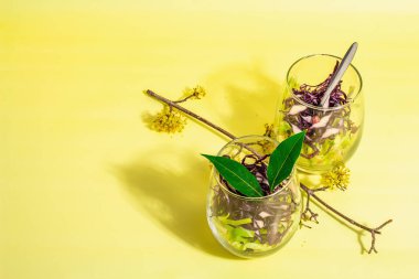 Bardakta servis edilen karışık lahana salatası. Taze vejetaryen vitamin yiyeceği. Baharatlar, zeytinyağı, kuru böğürtlen. Sağlıklı yaşam tarzı kavramı. Modaya uygun sert ışık, koyu gölge, parlak sarı arkaplan