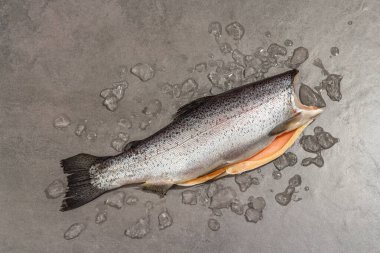Gri beton arka planda buzlu çiğ alabalık leşi. Deniz balığı, sağlıklı yiyecek, modaya uygun sert ışık, karanlık gölge, üst manzara.