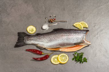 Gri taştan bir arka planda baharat ve bitkilerle çiğ alabalık leşi. Deniz balığı, sağlıklı yiyecekler, üst manzara.