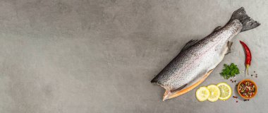 Gri taştan bir arka planda baharat ve bitkilerle çiğ alabalık leşi. Deniz balığı, sağlıklı yiyecek, afiş formatı