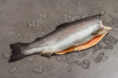 Gri beton arka planda buzlu çiğ alabalık leşi. Deniz balığı, sağlıklı yiyecek, modaya uygun sert ışık, karanlık gölge, kopyalama alanı