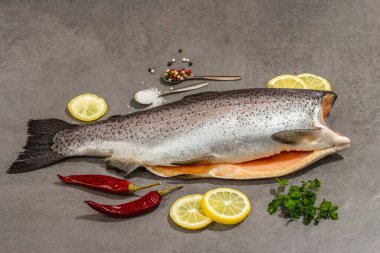 Gri taştan bir arka planda baharat ve bitkilerle çiğ alabalık leşi. Deniz balığı, sağlıklı yiyecek, kopyalama alanı