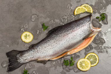 Çiğ alabalık leşi, buzlu, limonlu ve maydanozlu gri beton arka planda. Deniz balığı, sağlıklı yiyecek, modaya uygun sert ışık, karanlık gölge, yakın çekim.