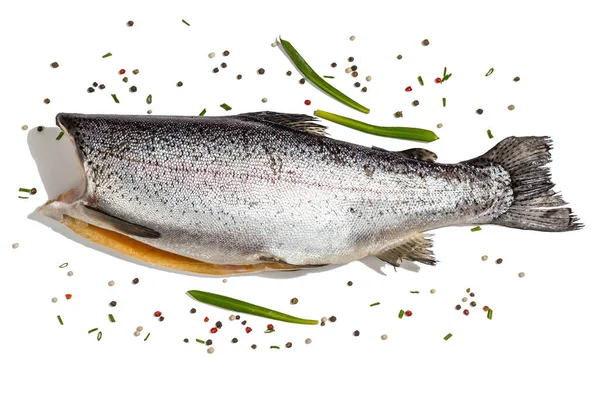 Тело Форели Изолировано Белом Фоне Морская Рыба Специи Здоровая Пища — стоковое фото